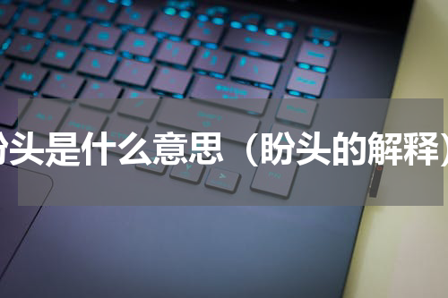 盼头是什么意思（盼头的解释）