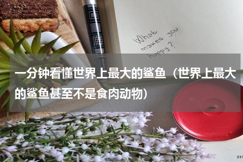 一分钟看懂世界上最大的鲨鱼（世界上最大的鲨鱼甚至不是食肉动物）