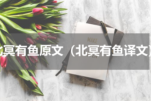 北冥有鱼原文（北冥有鱼译文）