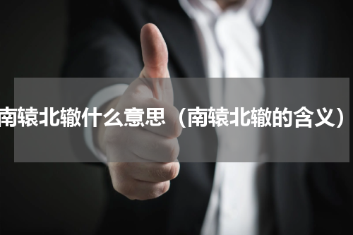 南辕北辙什么意思（南辕北辙的含义）