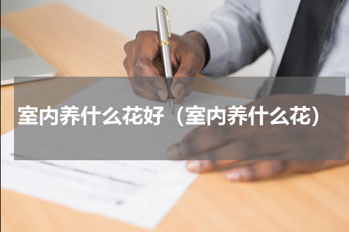 室内养什么花好（室内养什么花）