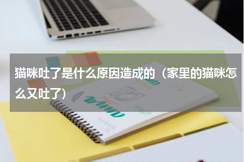 猫咪吐了是什么原因造成的（家里的猫咪怎么又吐了）
