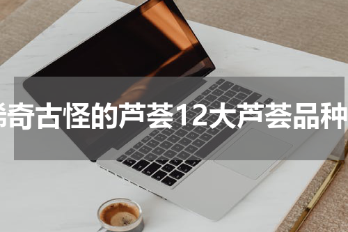 稀奇古怪的芦荟12大芦荟品种
