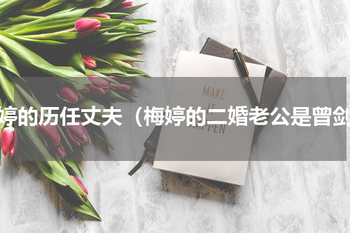 梅婷的历任丈夫（梅婷的二婚老公是曾剑）
