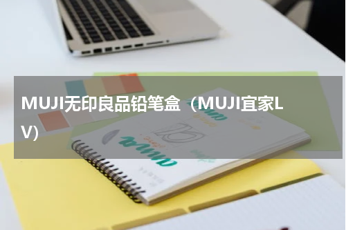 MUJI无印良品铅笔盒（MUJI宜家LV）