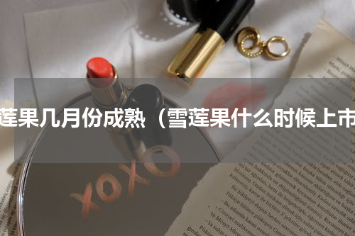 雪莲果几月份成熟（雪莲果什么时候上市）