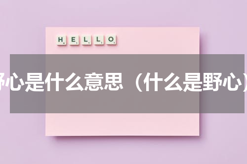野心是什么意思（什么是野心）