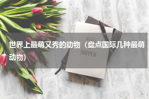 世界上最萌又秀的动物（盘点国际几种最萌动物）