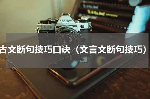 古文断句技巧口诀（文言文断句技巧）