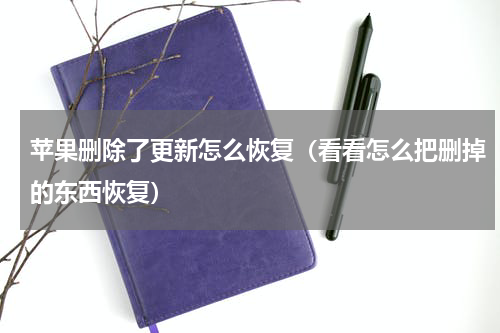 苹果删除了更新怎么恢复（看看怎么把删掉的东西恢复）