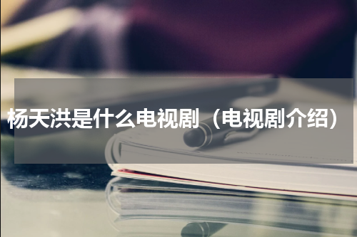 杨天洪是什么电视剧（电视剧介绍）