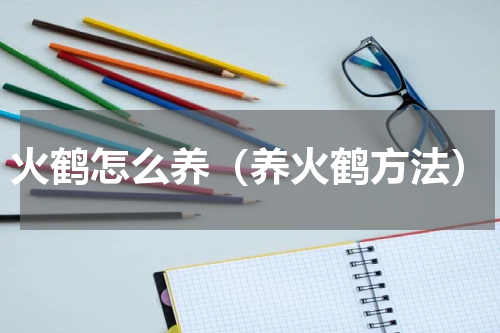 火鹤怎么养（养火鹤方法）