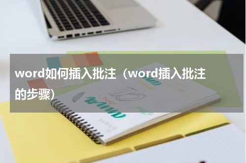 word如何插入批注（word插入批注的步骤）