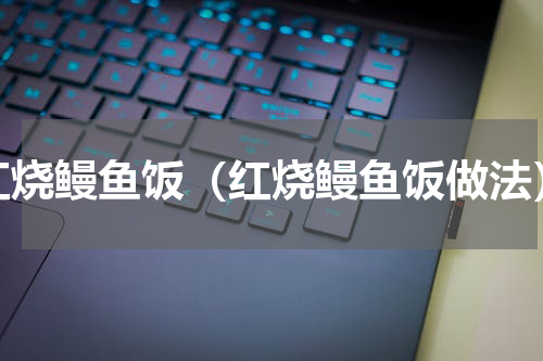红烧鳗鱼饭（红烧鳗鱼饭做法）