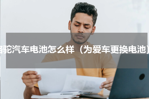 骆驼汽车电池怎么样（为爱车更换电池）