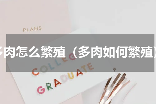 多肉怎么繁殖（多肉如何繁殖）