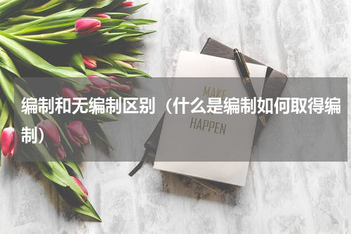 编制和无编制区别（什么是编制如何取得编制）