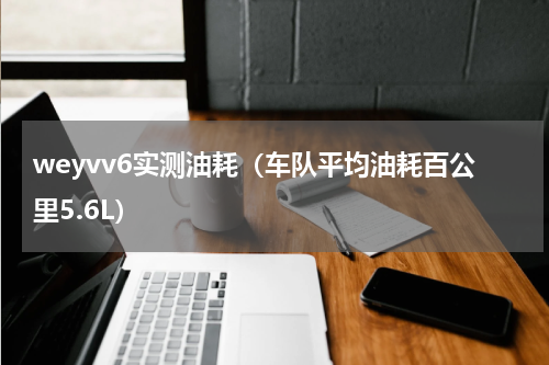 weyvv6实测油耗（车队平均油耗百公里5.6L）