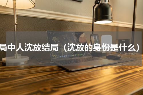 局中人沈放结局（沈放的身份是什么）