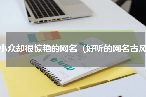 很小众却很惊艳的网名（好听的网名古风）