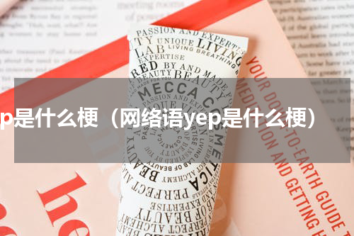 yep是什么梗（网络语yep是什么梗）