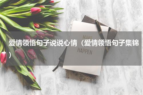爱情领悟句子说说心情（爱情领悟句子集锦）