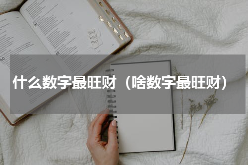 什么数字最旺财（啥数字最旺财）