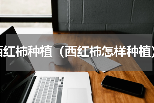 西红柿种植（西红柿怎样种植）