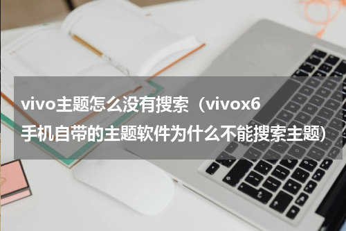 vivo主题怎么没有搜索（vivox6手机自带的主题软件为什么不能搜索主题）