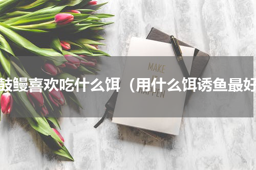 金鼓鳗喜欢吃什么饵（用什么饵诱鱼最好）