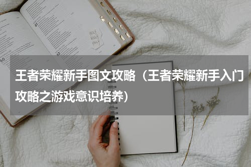 王者荣耀新手图文攻略（王者荣耀新手入门攻略之游戏意识培养）