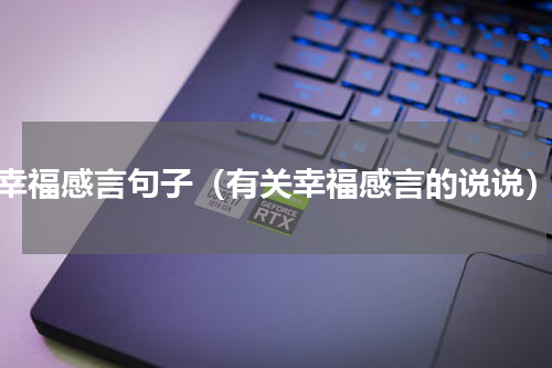 幸福感言句子（有关幸福感言的说说）