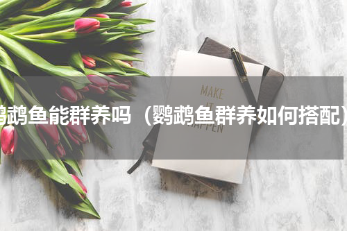 鹦鹉鱼能群养吗（鹦鹉鱼群养如何搭配）