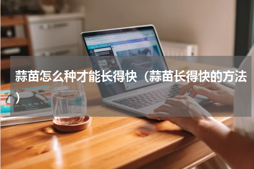 蒜苗怎么种才能长得快（蒜苗长得快的方法）