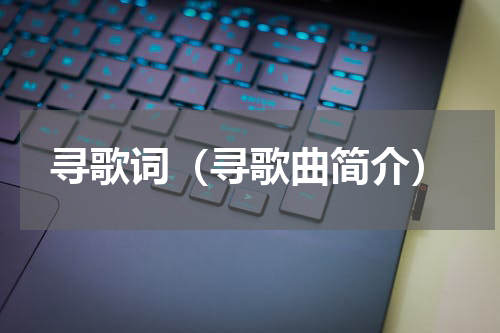 寻歌词（寻歌曲简介）