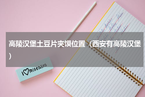 高陵汉堡土豆片夹馍位置（西安有高陵汉堡）