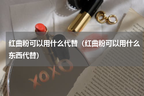 红曲粉可以用什么代替（红曲粉可以用什么东西代替）