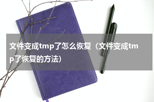 文件变成tmp了怎么恢复（文件变成tmp了恢复的方法）