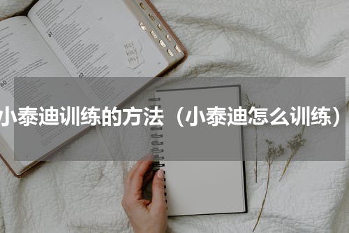 小泰迪训练的方法（小泰迪怎么训练）