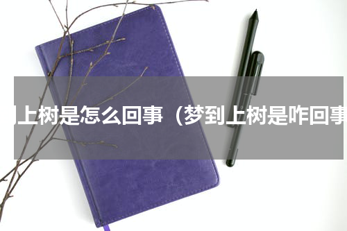 梦到上树是怎么回事（梦到上树是咋回事）