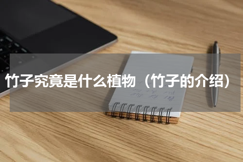 竹子究竟是什么植物（竹子的介绍）