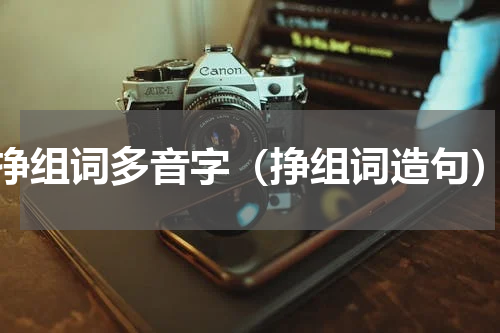 挣组词多音字（挣组词造句）