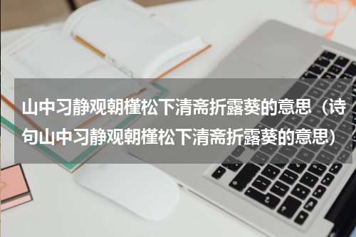 山中习静观朝槿松下清斋折露葵的意思（诗句山中习静观朝槿松下清斋折露葵的意思）