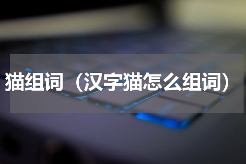 猫组词（汉字猫怎么组词）