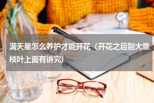 满天星怎么养护才能开花（开花之后别大意枝叶上面有讲究）