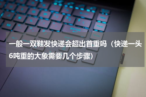一般一双鞋发快递会超出首重吗（快递一头6吨重的大象需要几个步骤）