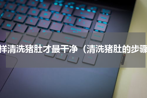 怎样清洗猪肚才最干净（清洗猪肚的步骤）