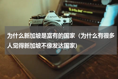 为什么新加坡是富有的国家（为什么有很多人觉得新加坡不像发达国家）