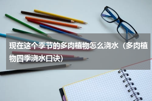 现在这个季节的多肉植物怎么浇水（多肉植物四季浇水口诀）