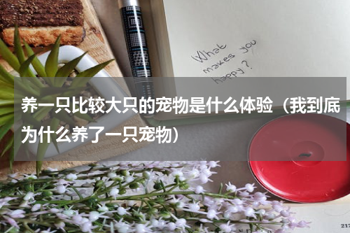 养一只比较大只的宠物是什么体验（我到底为什么养了一只宠物）